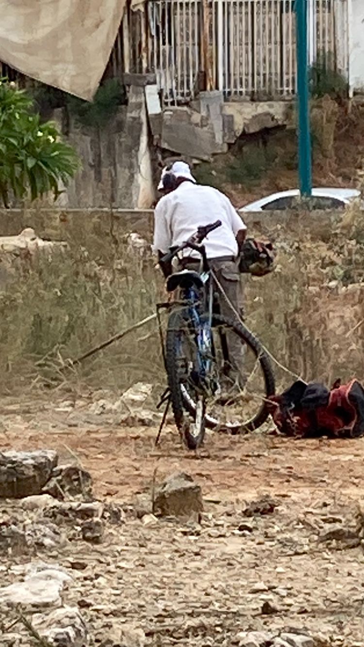 WhatsApp Image 2021-10-02 at 10.31.14 AM.jpeg